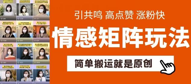 简单搬运，情感矩阵玩法，涨粉速度快，可带货，可起号【揭秘】-87创业网