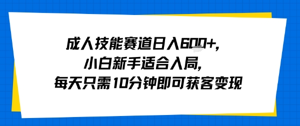 成人技能赛道日入多张，小白新手适合入局，每天只需10分钟即可获客变现-87创业网