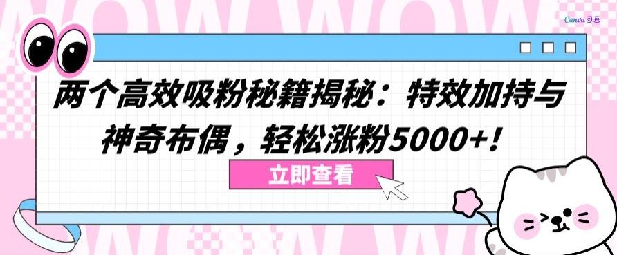 两个高效吸粉秘籍揭秘：特效加持与神奇布偶，轻松涨粉5000+【揭秘】-87创业网