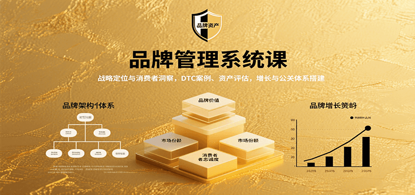 品牌管理系统课：战略定位与消费者洞察，DTC案例、资产评估，增长与公关体系搭建-87创业网
