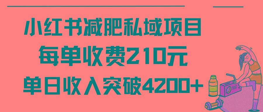 (9466期)小红书减肥私域项目每单收费210元单日成交20单，最高日入4200+-87创业网