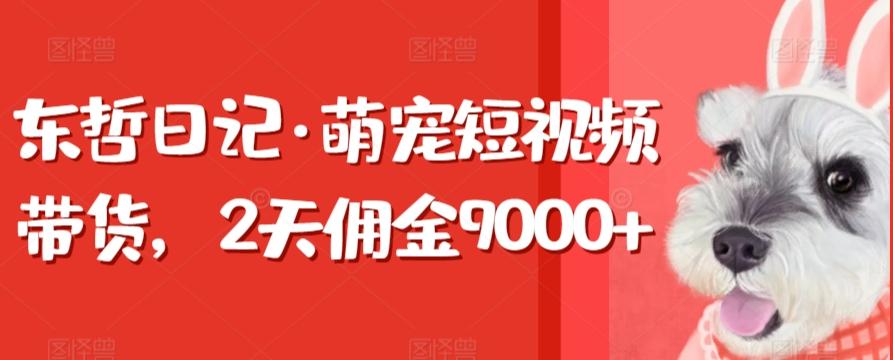 东哲日记·萌宠短视频带货，2天佣金9000+-87创业网