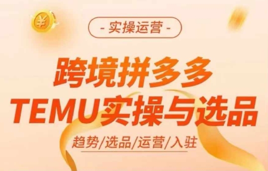 跨境拼多多TEMU实操与选品，多多temu跨境选品运营实操-87创业网