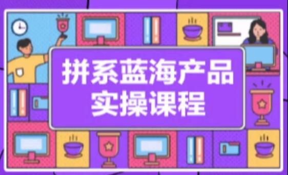 拼系冷门蓝海产品实操课程，从注册店铺到选品上架到流量维护环环相扣-87创业网