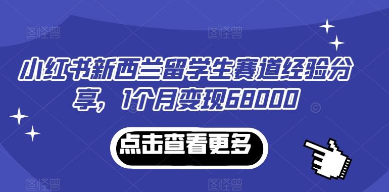 小红书新西兰留学生赛道经验分享，1个月变现68000【揭秘】-87创业网