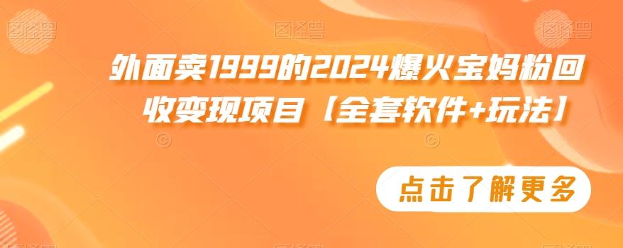 外面卖1999的2024爆火宝妈粉回收变现项目【全套软件+玩法】【揭秘】-87创业网