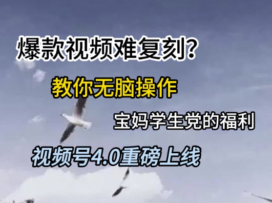 视频号4.0重磅上线，爆款视频难复刻？教你无脑操作宝妈学生党的福利【揭秘】-87创业网