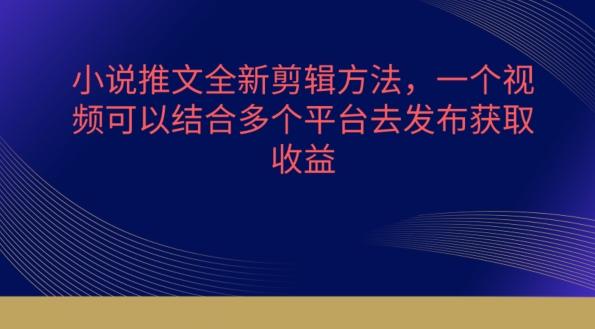 小说推文全新剪辑方法，一个视频可以结合多个平台去发布获取【揭秘】-87创业网