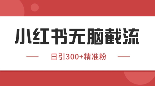 小红书只要你有同行就能获客，独家野路子获客玩法，暴力截流【揭秘】-87创业网