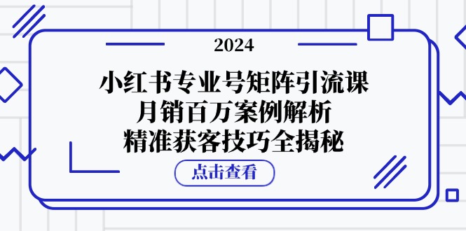 小红书专业号矩阵引流课，月销百万案例解析，精准获客技巧全揭秘-87创业网