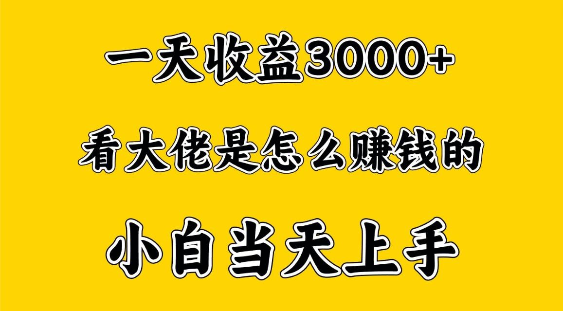 一天赚3000多，大佬是这样赚到钱的，小白当天上手，穷人翻身项目-87创业网