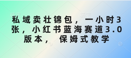 私域卖壮锦包，一小时3张，小红书蓝海赛道3.0版本， 保姆式教学-87创业网
