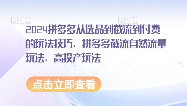 2024拼多多从选品到截流到付费的玩法技巧，拼多多截流自然流量玩法，高投产玩法-87创业网