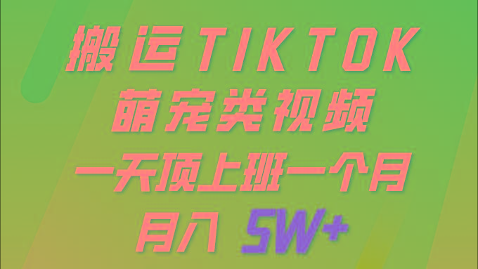 (9931期)一键搬运TIKTOK萌宠类视频 一部手机即可操作 所有平台均可发布 轻松月入5W+-87创业网