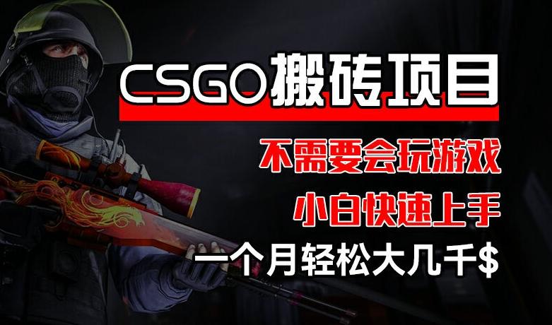 CSGO 装备搬砖项目，操作简单，不需要会玩游戏，小白也能快速上手，一个月轻松大几千【揭秘】-87创业网