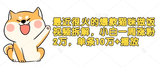 最近很火的爆款猫咪做饭视频拆解，小白一周涨粉2万，单条10万+播放(附保姆级教程)-87创业网