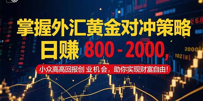 掌握外汇黄金对冲策略，日赚 800 – 2000，小众高回报创业机会，助你实…-87创业网