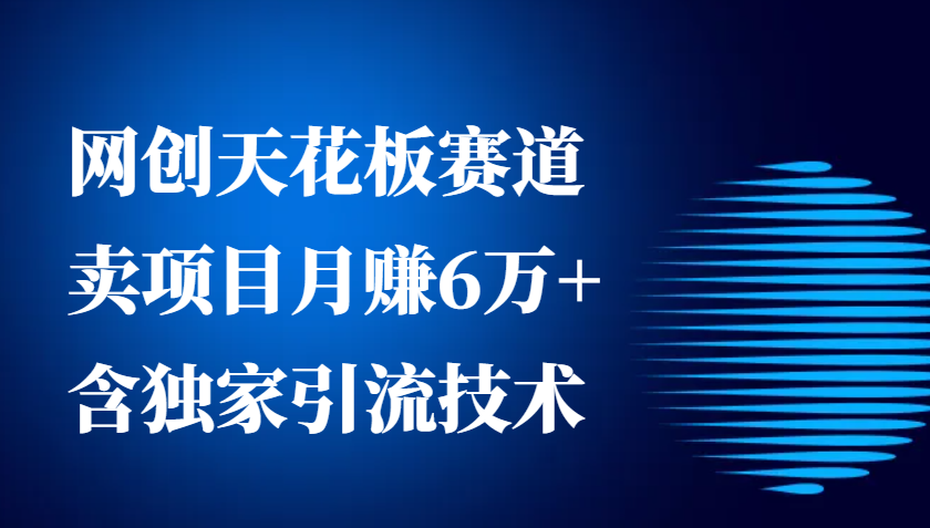 网创天花板赛道，卖项目月赚6万+，含独家引流技术(共26节课)-87创业网