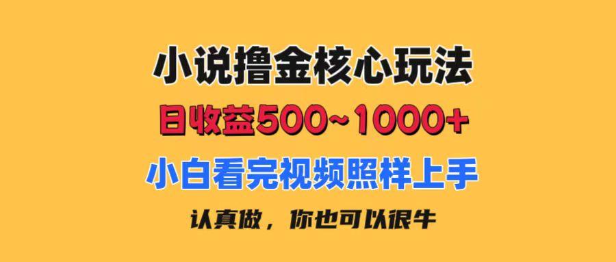 小说撸金核心玩法，日收益500-1000+，小白看完照样上手，0成本有手就行-87创业网