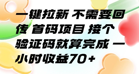 一键拉新 不需要回传 首码项目 接个验证码就算完成 一小时收益70+【揭秘】-87创业网