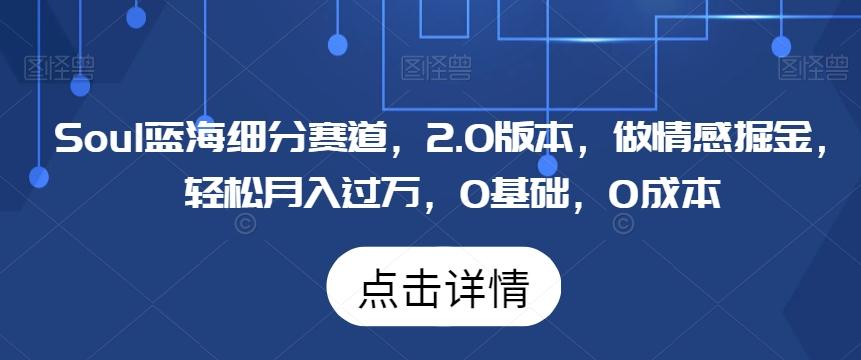 Soul蓝海细分赛道，2.0版本，做情感掘金，轻松月入过万，0基础，0成本-87创业网