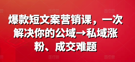 爆款短文案营销课，一次解决你的公域→私域涨粉、成交难题-87创业网