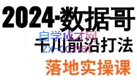 数据哥·2024年千川前沿打法落地实操课-87创业网