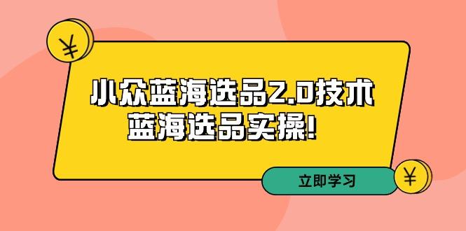 拼多多培训第33期：小众蓝海选品2.0技术-蓝海选品实操！-87创业网