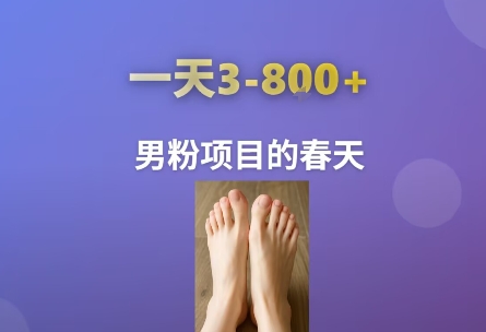 AI一键生成美女素材，一天收益3-8张，男粉项目的春天-87创业网