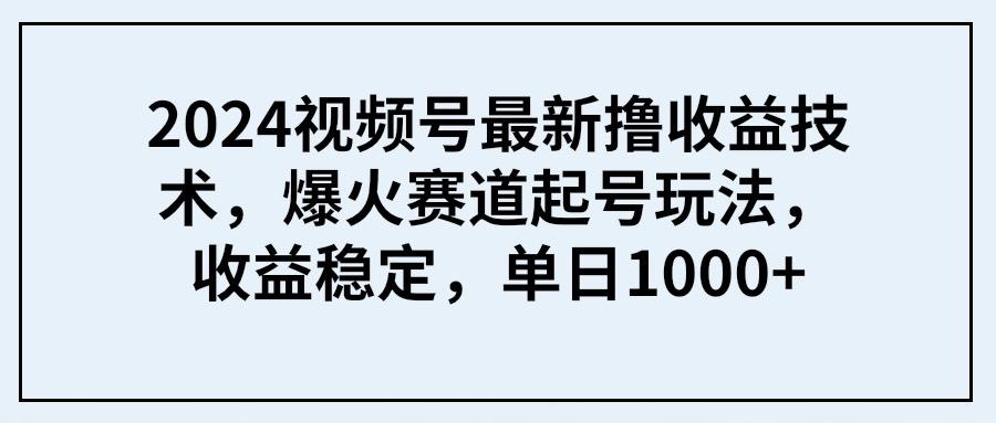 (9651期) 2024视频号最新撸收益技术，爆火赛道起号玩法，收益稳定，单日1000+-87创业网