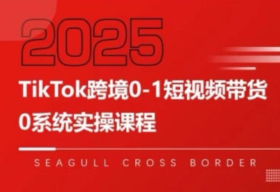 大亿老师·TikTok跨境0-1短视频带货-87创业网