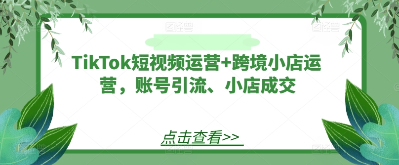 TikTok短视频运营+跨境小店运营，账号引流、小店成交-87创业网