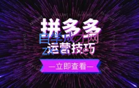 力辛电商·拼多多强付费店群玩法-87创业网