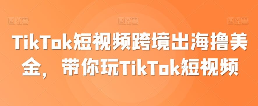 TikTok短视频跨境出海撸美金，带你玩TikTok短视频-87创业网