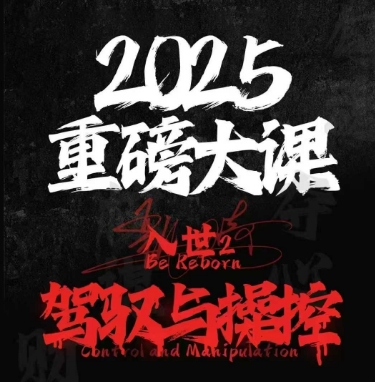 2025重磅大课，入世2，驾驭与控制-87创业网