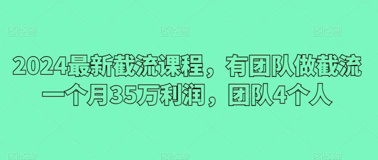 2024最新截流课程，有团队做截流一个月35万利润，团队4个人-87创业网