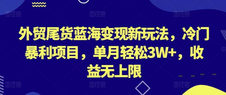 外贸尾货蓝海变现新玩法，冷门暴利项目，单月轻松3W+，收益无上限【揭秘】-87创业网