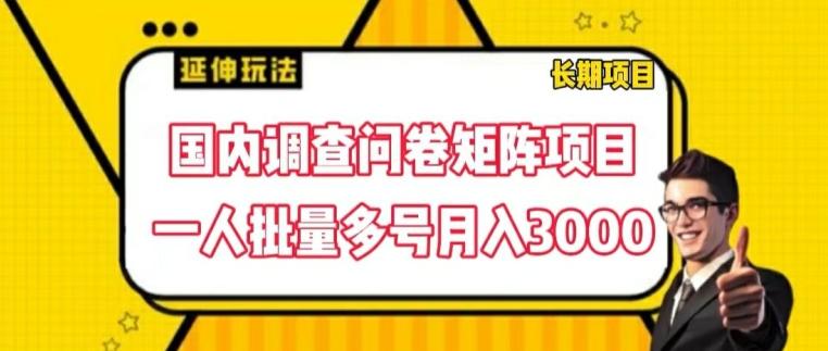 国内调查问卷矩阵项目，一人批量多号月入3000【揭秘】-87创业网