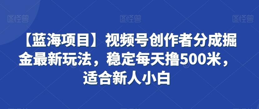 【蓝海项目】视频号创作者分成掘金最新玩法，稳定每天撸500米，适合新人小白【揭秘】-87创业网