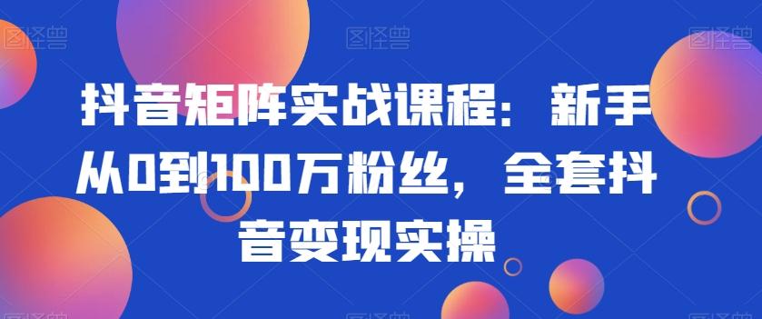 抖音矩阵实战课程：新手从0到100万粉丝，全套抖音变现实操-87创业网