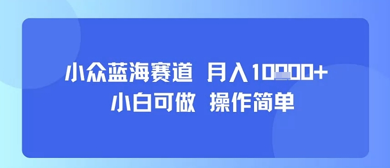 小众蓝海赛道，小白可做，操作简单，每天30分钟，月入1W+-87创业网