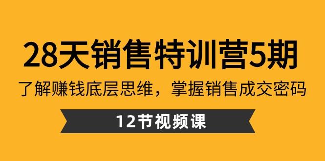 28天销售特训营5期：了解赚钱底层思维，掌握销售成交密码（12节课）-87创业网