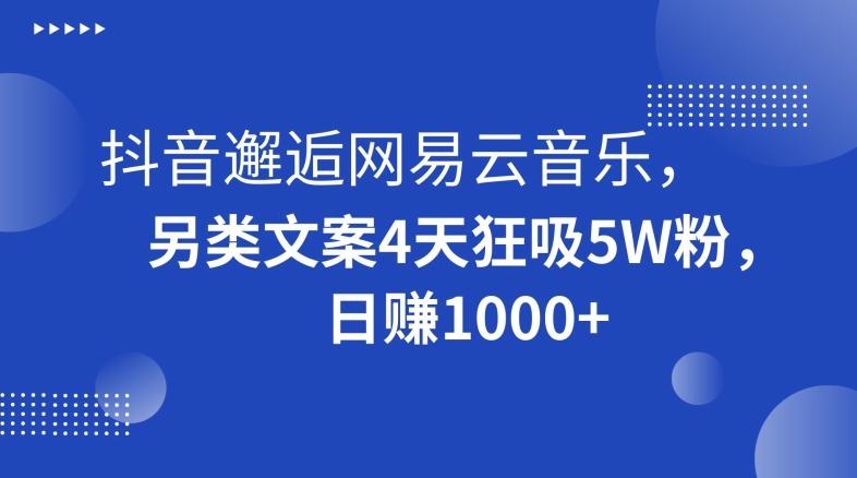 抖音邂逅网易云音乐，另类文案4天狂吸5W粉，日赚1000+【揭秘】-87创业网