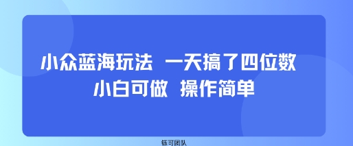 小众蓝海玩法 一天搞了四位数 小白可做 操作简单-87创业网