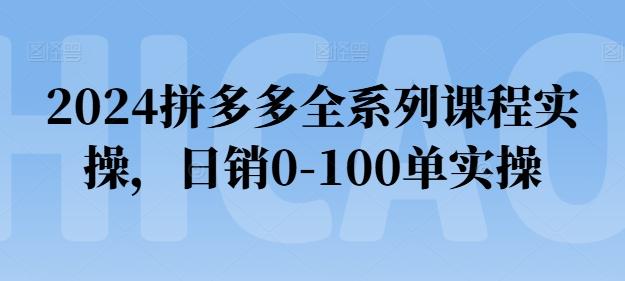 2024拼多多全系列课程实操，日销0-100单实操【必看】-87创业网