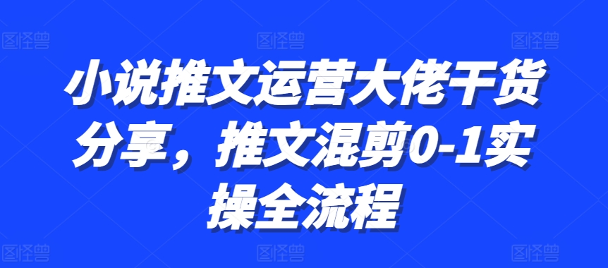 小说推文运营大佬干货分享，推文混剪0-1实操全流程-87创业网