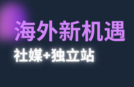 棕榈·2025出海新机遇(社媒+独立站)-87创业网
