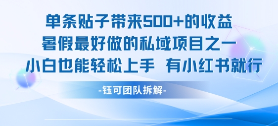 单条贴子带来5张的收益，暑假最好做的私域项目之一，小白也能轻松上手，有小红书就行-87创业网