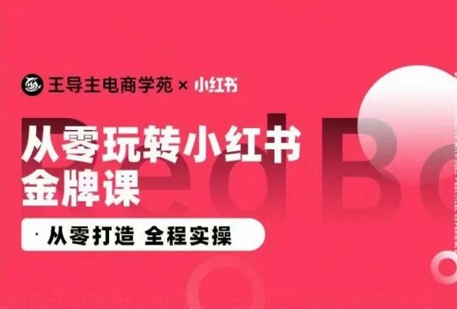 王导主·小红书电商运营实操课，​从零打造  全程实操-87创业网