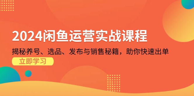 2024闲鱼运营实战课程：揭秘养号、选品、发布与销售秘籍，助你快速出单-87创业网